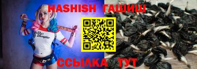 гидра Лесосибирск
