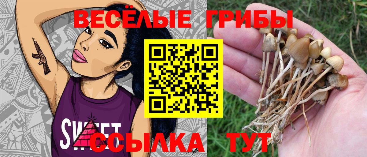 Димитровград  Галлюциногенные грибы MAGIC MUSHROOMS  Вход с VPN 